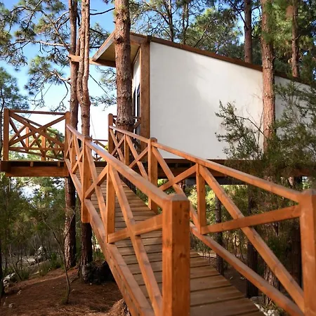 Casita Colgada 