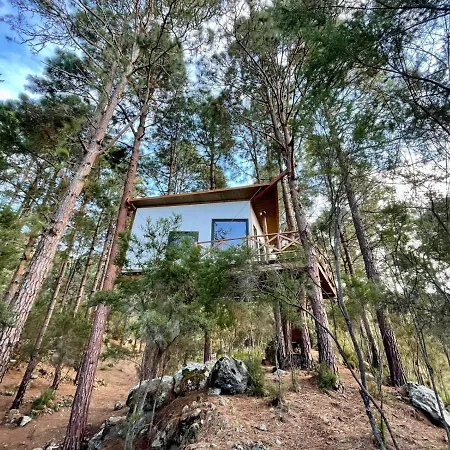 Casita Colgada 