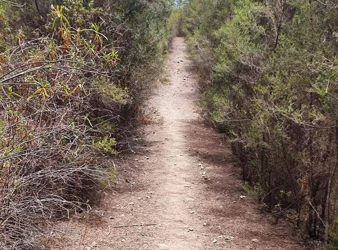 Casita Colgada Lia * La Guancha